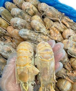 Alternative view of Ocean Caught Frozen Large Lobster Claws – 15 Pieces, 1kg