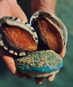 Alternative view of Frozen Australian Tiger Abalone – 7 Pieces, 1kg