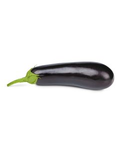 Aubergine