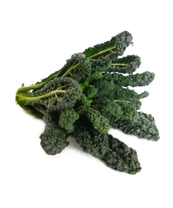 Cavolo Nero