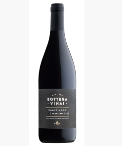 Bottega Vinai Pinot Nero